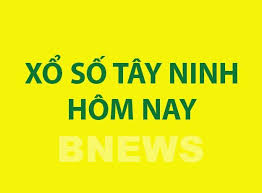 Bnews.vn - News update