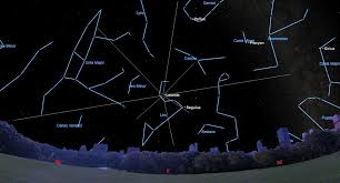 A Guide to Witnessing the Spectacle: The Leonid Meteor Shower Peaks this Weekend