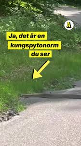 Aftonbladet - News update