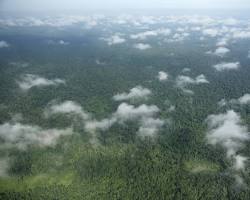Image of Prey Lang Forest, Cambodia