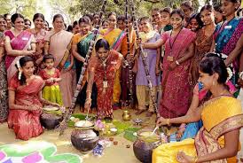 Image result for pongal festival images