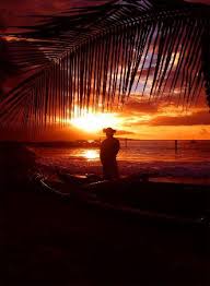 Resultado de imagem para fotos do luau