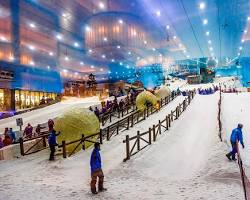 Immagine di Ski Dubai
