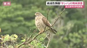 Yahoo!ニュース - News update
