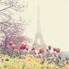 Image result for pictures of paris tumblr