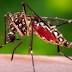 Jamaica advises women to delay pregnancy due to Zika virus