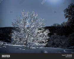 Image of full moon illuminating a snowcovered landscape