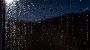 ¡Alerta Clima! ¿Tormenta en Virginia? Descubrí el Pronóstico Imperdible - Imagen principal del artículo