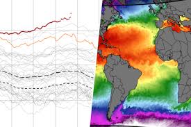 Especialistas começam a ficar preocupados: "É provável que tenhamos registrado a temperatura mais alta do mar em 125.000 anos"