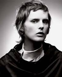 Résultat de recherche d'images pour "stella tennant"