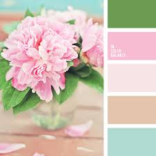 images?q=tbn:ANd9GcRBkTugCWXCSKqt0CW_HGF