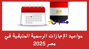 محتوى بلس - News update