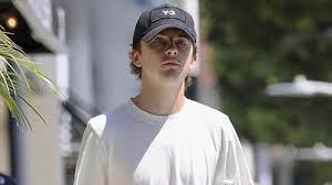 Timothee Chalamet Goes on Solo Coffee Run in Beverly Hills