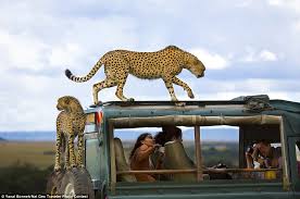Image result for pictures gallery for amazing places of the world