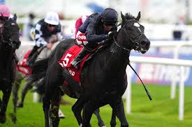 Puerto Rico in Prime Guineas Position as O'Brien Weighs Options