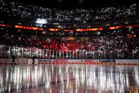 Lanxess Arena: Tickets für Kölner Haie Spiele gewinnen! - Imagen principal del artículo
