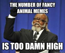 Image result for Animal Meme