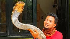 detikcom - News update
