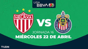 ¡Por más marcas! Así puedes ver Necaxa vs. Chivas del Clausura 2026