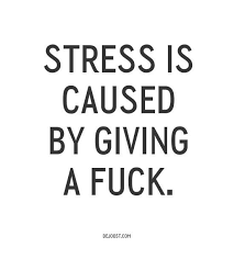 Fuck stress, fuck people, fuck this, fuck that, fuck everything ... via Relatably.com