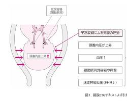 子宮の収縮の画像