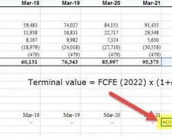 FCFE model