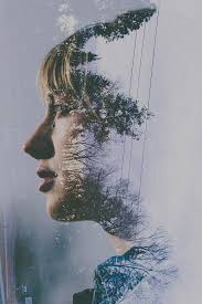 Image result for double exposure types