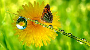 Résultat de recherche d'images pour "goutte d'eau qui tombe hd"