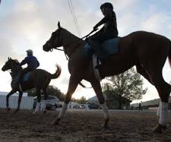 Image result for kentucky derby images 2016 ago