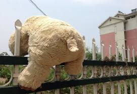 Image result for 无奈图片