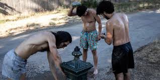 canicule