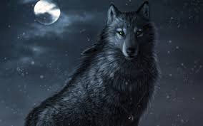 >>>> EL LOBO SOLITARIO <<<< - Página 5 Images?q=tbn:ANd9GcRCMcO4z-VeVjUei_-Muul9jpoJL89wlR-RCNHxIqxyUfHwFIR84Q