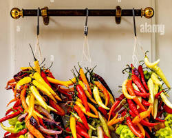 chili peppers of varying colorsの画像
