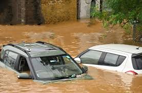 فرزانه صادق