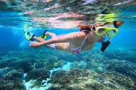 Image result for goa images