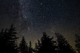 Keep an Eye Out for Two Stellar Meteor Showers Peaking This Week, the Southern Delta Aquariids and the Alpha Capricornids