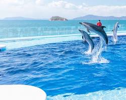 四国水族館の画像