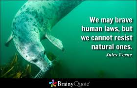 Jules Verne Quotes - BrainyQuote via Relatably.com