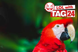 TAG24.COM - News update