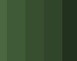 Image of Forest Green color