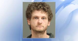 Hunger Games Actor Ethan Jamieson Arrested for Assault