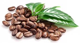 Image result for ‘Coffee beans’
