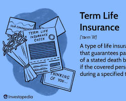 Image of Term Life Insurance policy