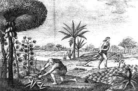 Résultat de recherche d'images pour "conuco"
