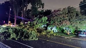City of Annapolis Assesses Damage From Late Friday Severe Weather
