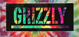 Resultado de imagen para grizzly skate