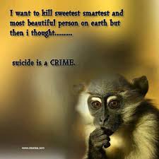 Smart Funny Quotes About Life. QuotesGram via Relatably.com