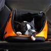 Story image for Best Pet Supplies Pet Carrier Crate Accessories For Sale from Travel+Leisure