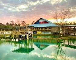 Image of Gator Hole Beaumont Texas