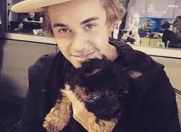 Resultado de imagem para justin bieber 2015 instagram